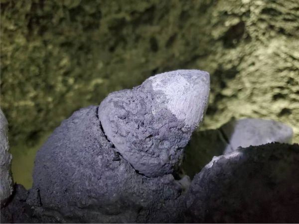 株洲信达机械科技股份有限公司,株洲煤截齿,掘进齿销售 株洲信达机械科技股份有限公司,株洲煤截齿,掘进齿销售